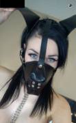 Dog Mask