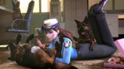 Officer D.va K9 Training