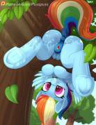 Top Image Of 02-01-2017 [Artist: Pusspuss]