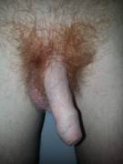 Been Letting My Bush Grow Out A Little