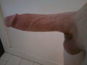 More Massive Ginger Fun!