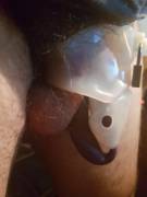 Spiked Cage And A Wevibe. Very Effective Tease At A Distance