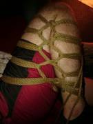 Gorgeous Diamond Futomomo Which Was Surprisingly Comfortable For Suspension.