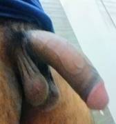 Dragon Eggs And A Virgin Stallion. What Do You Think About It?