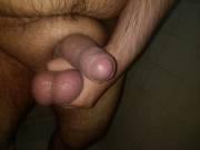 Hello Mexican Bichub Here