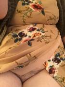 Sunny September With [F]Ull Bush