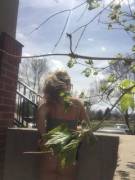 There Was An Attempt To Take A Picture On My Porch (F)