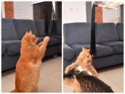 Sorry There Is No Nude... It Was Just Too Funny To See They Thought We Brought The ...