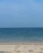 [M]Y Cape Cod Vacation