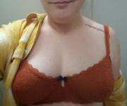 Fall &Amp;Amp;Gt; Summer