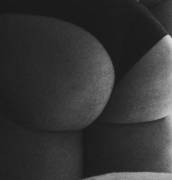 Who Doesn't Love A Big Ass? (F)