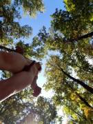 Lots And Lots Of Wood 