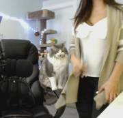 Showing Her Pussy And Ass Shaking Skills