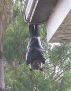 Anyone Know This Hotty Or Seen More Of Her?