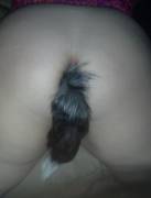 Im A Naughty Little (F)Ox