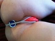 Wet Pussy &Amp;Amp;Amp; Anal Plug [Img]