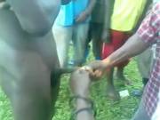 Circumcision? Whatevs, This Cloud Is Awesome Anyway...(Nsfw)