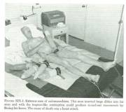 Found An Impressive Wtf Article