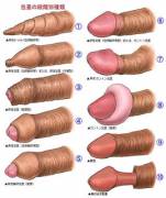 Types Of Foreskin, Da Fuq?