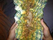 7 Year Old Cum Rag, Yummers