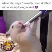 Saw This On /R/Blackpeopletwitter And Got Confused