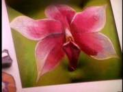 Nothing Like A Fresh Flower