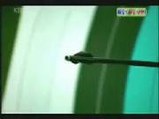 Insanely Accurate Bow Shot (X-Post From /R/Woahdude)