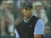 Hole In One! (X-Post /R/Combined_Gifs)