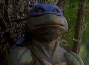 Tmnt Coming Out Of His Shell