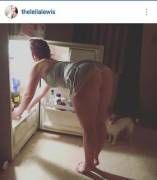 The Dog Waits Patiently