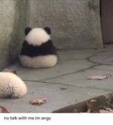 When A Little Doesn’t Get Their Way...