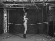 Who Thinks Of This Amazing Material?