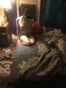 My Wife Leashed Part 1