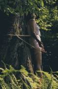 Roped To A Tree