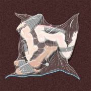 Vacuum Sealed Triangle Of Love