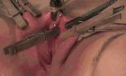 Clothpins And Pussy