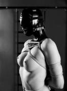 Ready And Waiting For Sir To Return.