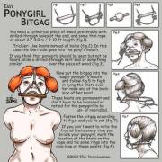 Pony Girl Bit Gag