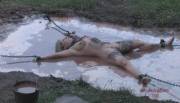 Chained Down In The Mud. There Is No Escape.