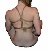 Edited With Paint, Rear View.