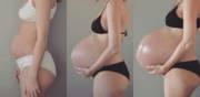 Huge Pregnant Growth
