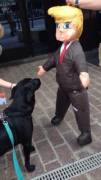 My Dog Met Trump Today. Caption?