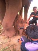 Caption This Photo. Challenge: Be Punny Or At Least Funny