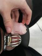 I Upgraded To A Smaller Cage For My Sissy Clit, Hope You Like It.