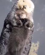 Me Cuddling My Sub Like