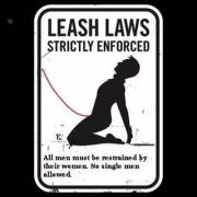New Leash Law In Effect In Venus