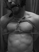 In [M]Y Last Post I Forgot The Gag - Miss /U/Dingdomme Has Made Sure I Atone For ...