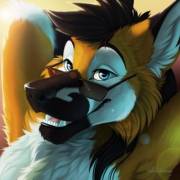 You Dig The Shades? [Silvixen]