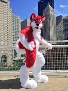 Got My Fursuit Just In Time For Anthrocon, And I'm In Love With It!