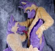 [Mm] Lav And Dur At It Again!